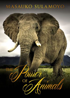 The Power Of Animals